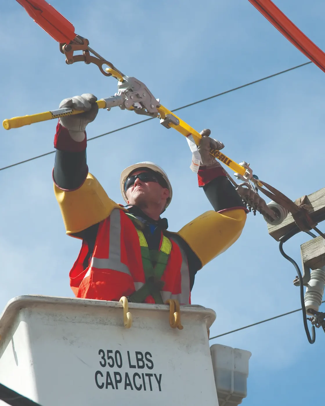 The Energy Network